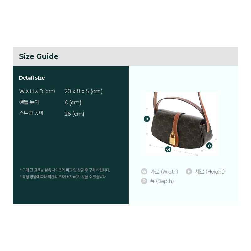 CELINE 25SS Triomphe 單肩包-2