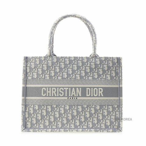 DIOR M1296ZRIW M20I SS25 女士 North 中號手提包