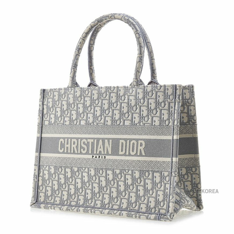 DIOR M1296ZRIW M20I SS25 女士 North 中號手提包-1