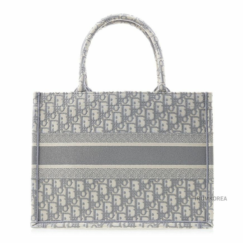 DIOR M1296ZRIW M20I SS25 女士 North 中號手提包-2