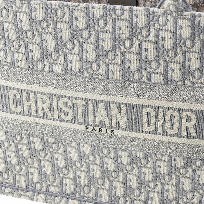 DIOR M1296ZRIW M20I SS25 女士 North 中號手提包-5