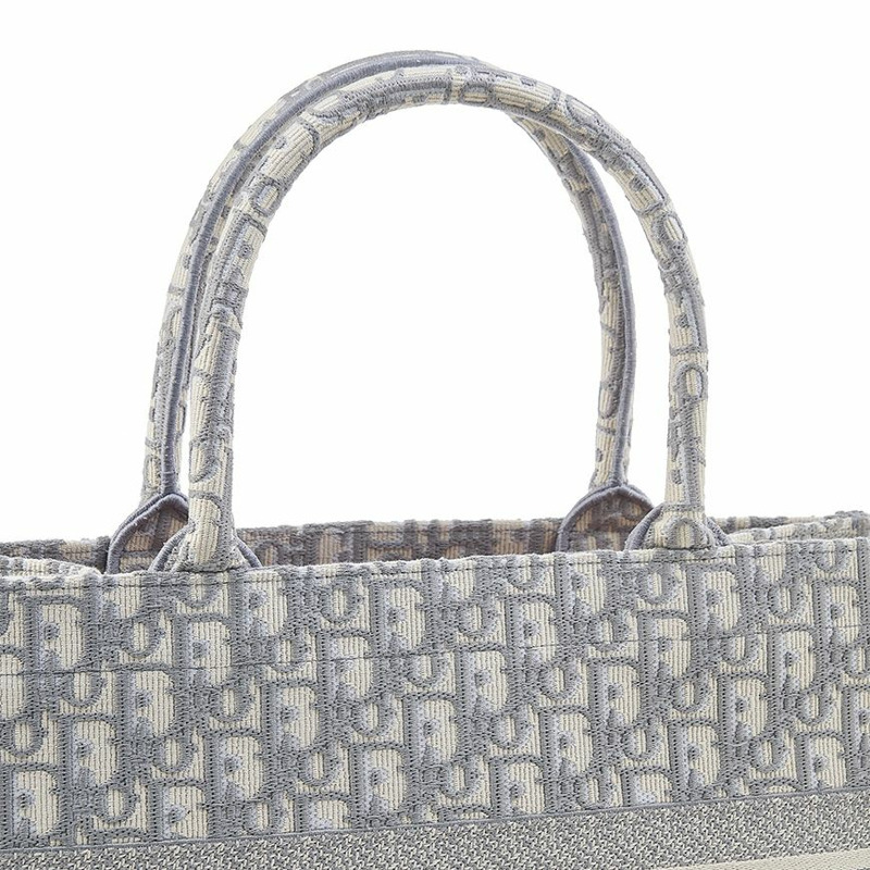 DIOR M1296ZRIW M20I SS25 女士 North 中號手提包-6