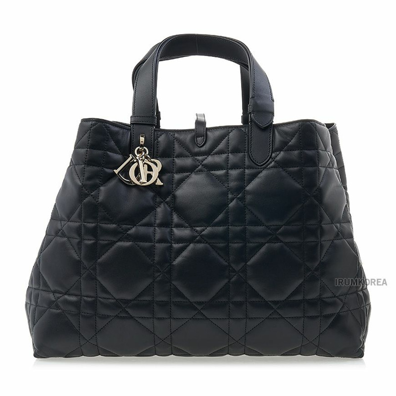 DIOR M2820OSHJ M900 SS25 女士旅遊大號包-1