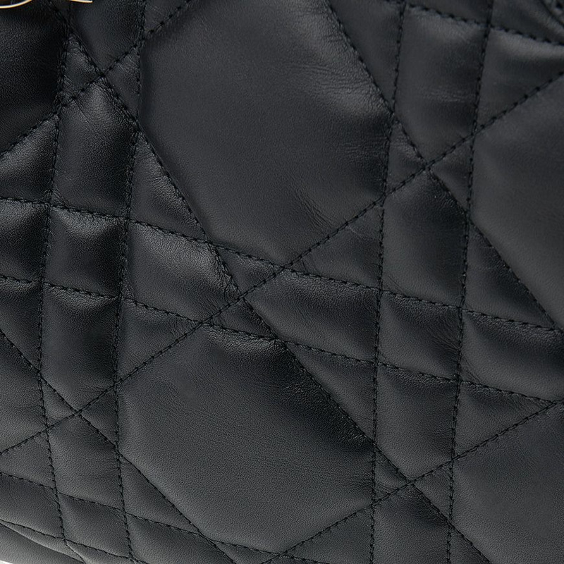 DIOR M2820OSHJ M900 SS25 女士旅遊大號包-6