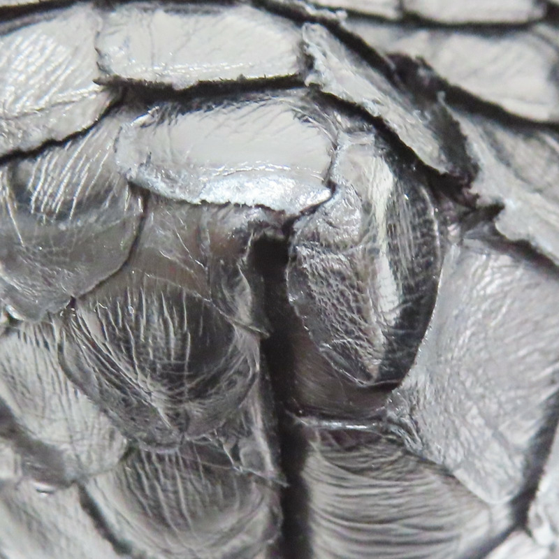 黑色蛇皮 手拿包 269944【GUCCI 古馳】 269944-11