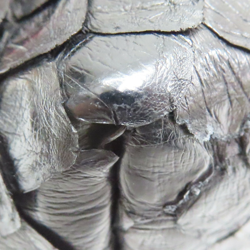 黑色蛇皮 手拿包 269944【GUCCI 古馳】 269944-12