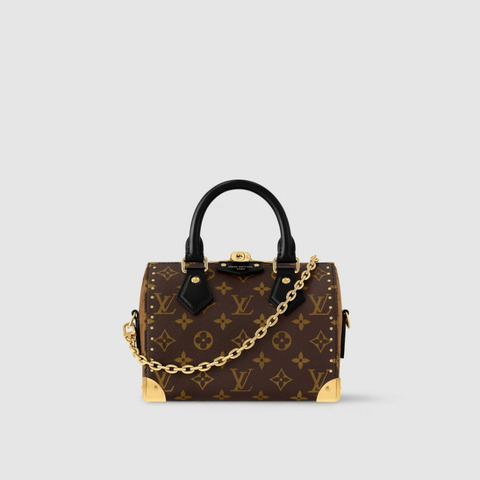 LOUIS VUITTON Speedy Trunk 20 M13146