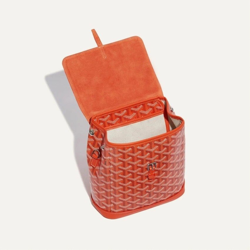 GOYARD Alping 迷你背包 橙色-6