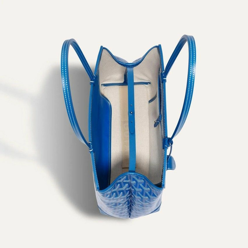 GOYARD 貝爾沙撒 Vyu'd 包 PM 藍色-5