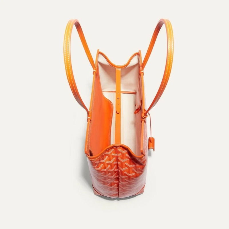 GOYARD Belhasse VieuD Bag PM 橙色-5