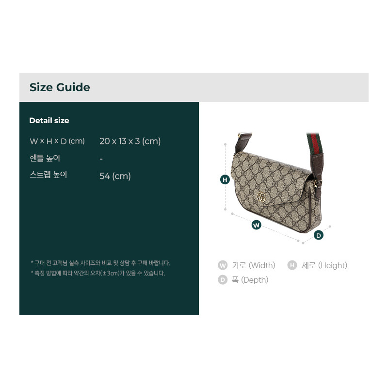 GUCCI Ophidia 斜背包 25FW (764961 96IWG 8745)-2