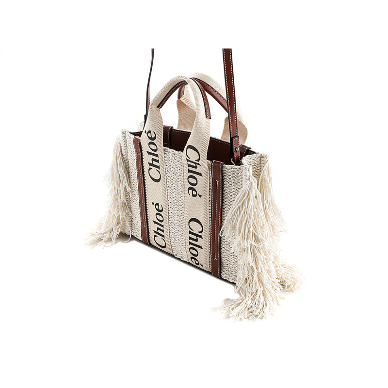 CHLOE 伍迪小號單肩包-6