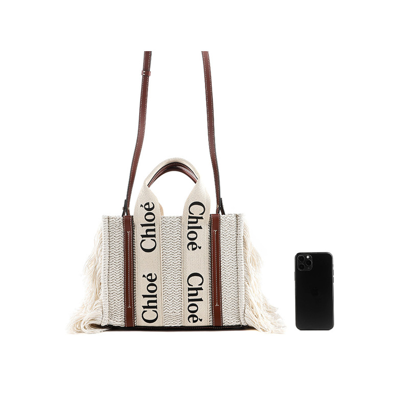 CHLOE 伍迪小號單肩包-17