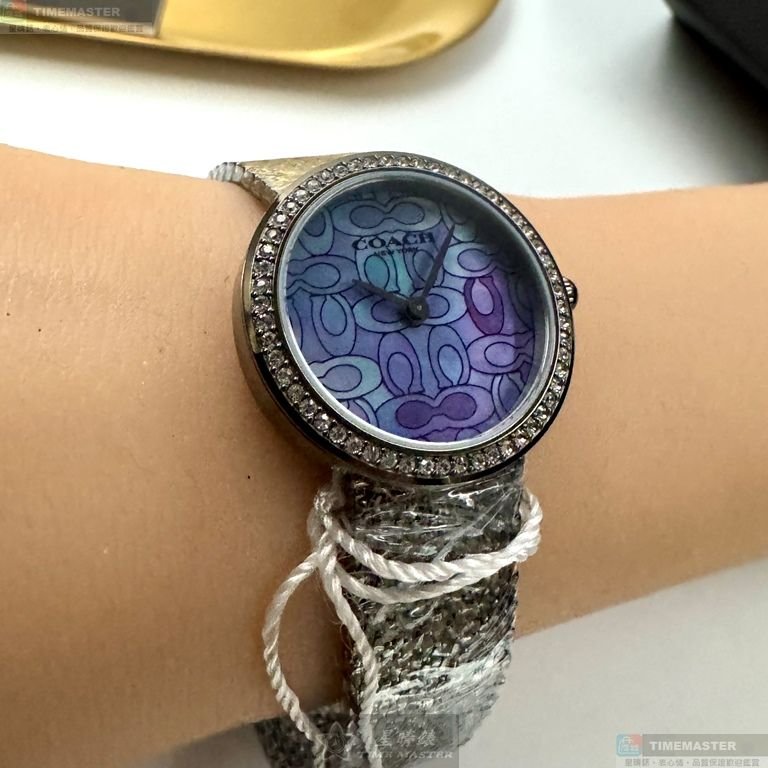 COACH手錶,編號CH00251,28mm槍灰色圓形精鋼錶殼,變色中二針顯示, 貝母錶面,鐵灰色米蘭錶帶款-6