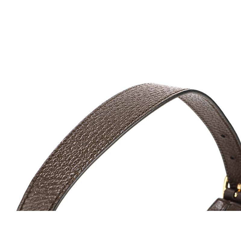 GUCCI Ophidia GG 肩背包-8