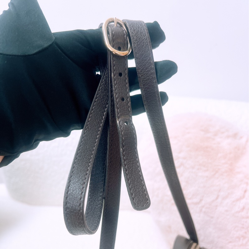 Gucci 蜜蜂老花相機包-11