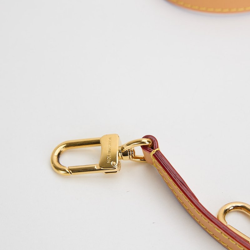 二手Lv nano speedy 老花-19