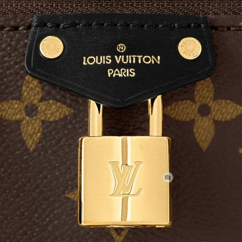 LOUIS VUITTON 女士包款 Dauphine Soft GM M47149-6