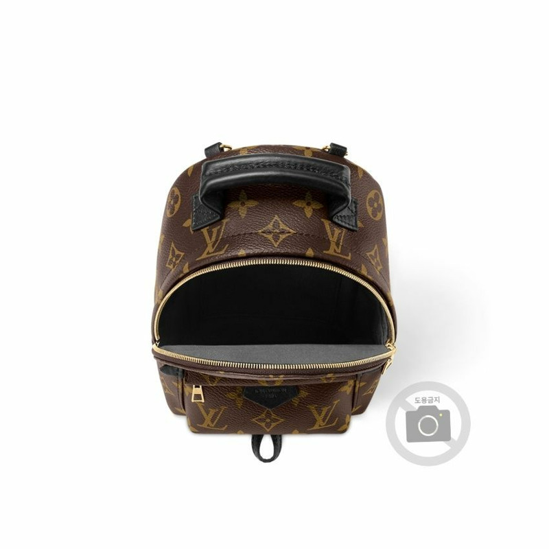 LOUIS VUITTON 棕櫚泉迷你背包 M44873-4