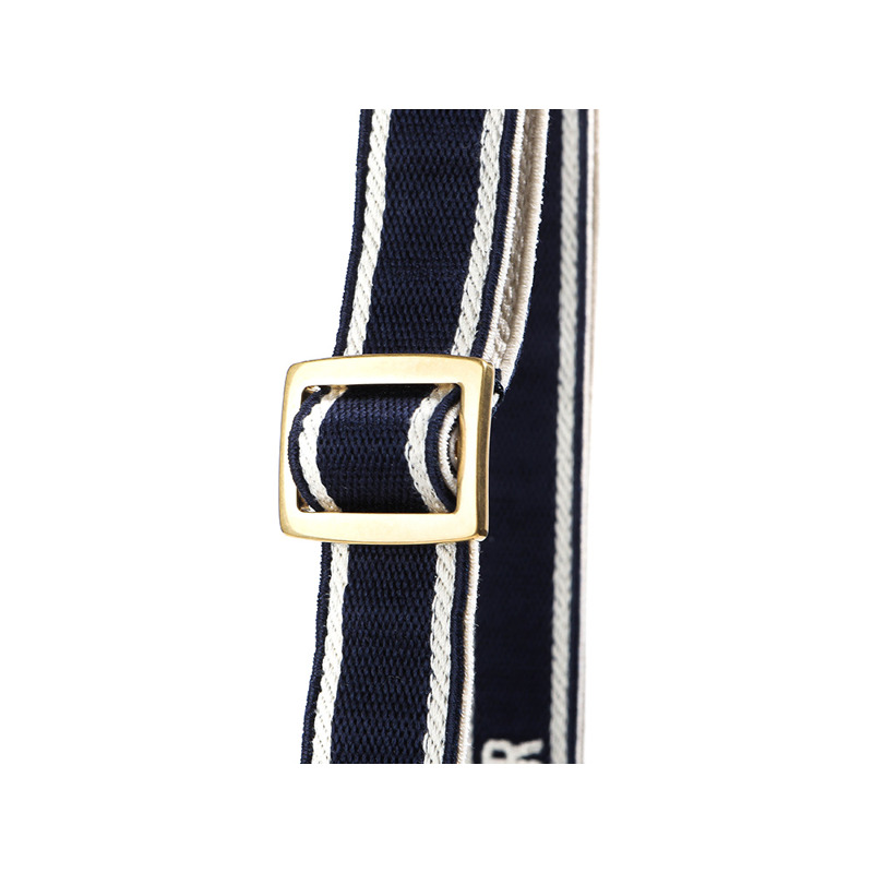 DIOR Christian 24SS 女士手提包 M1325CETK-10