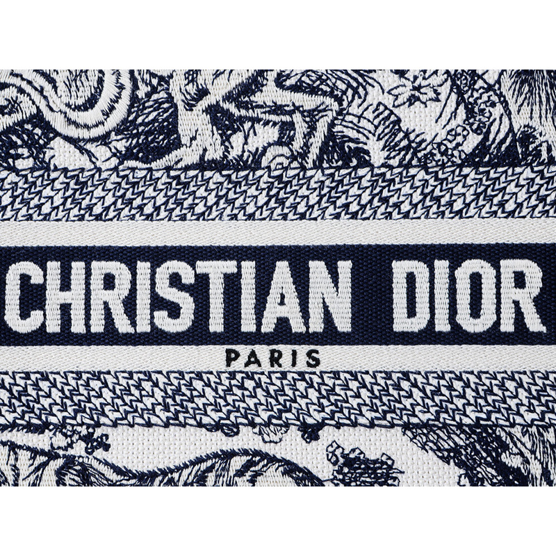 DIOR Christian 24SS 女士手提包 M1325CETK-13