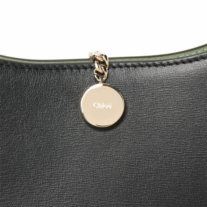CHLOE CHC23WS164K55 女士單肩包-9