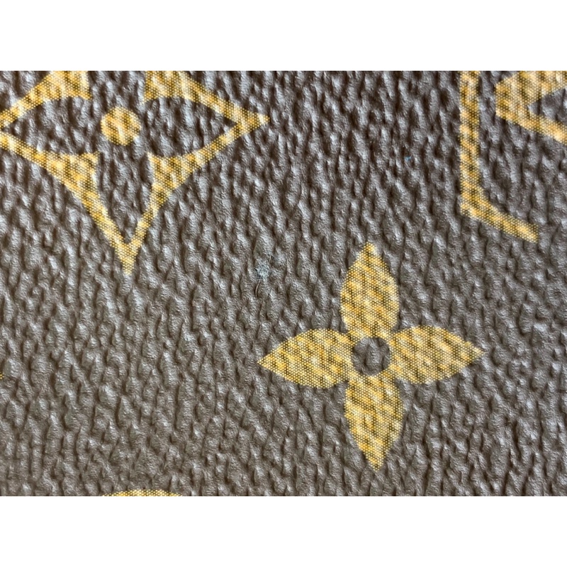 LV路易威登Solar Ray Steamer PM字母圖案單肩手提包-18