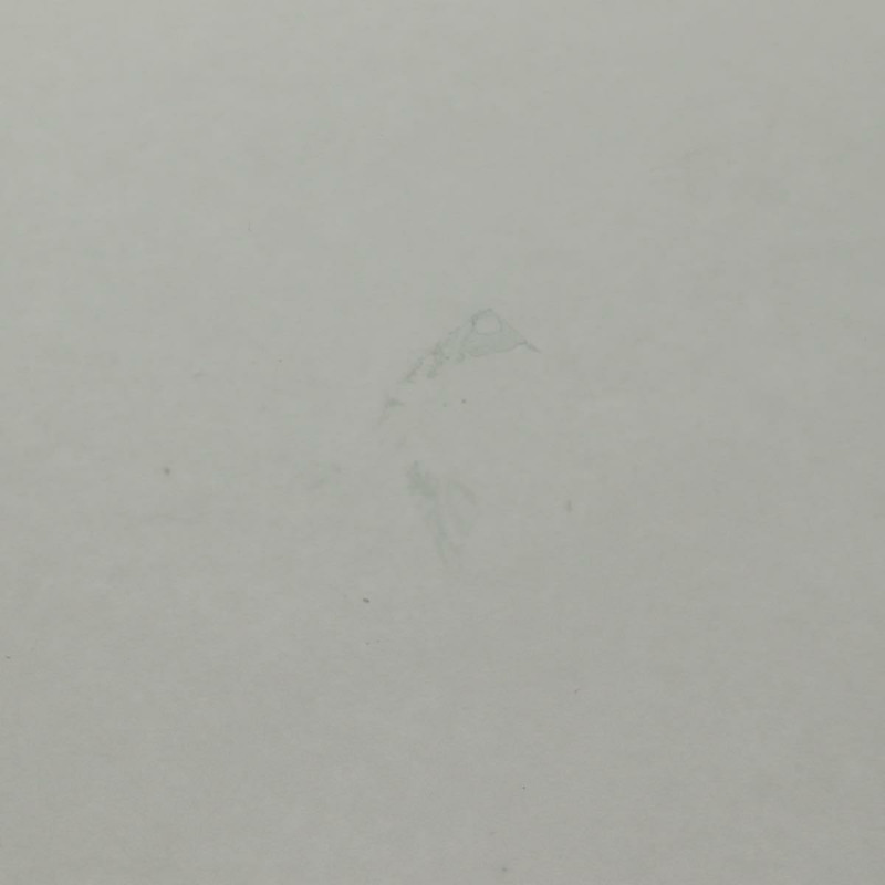 【日本直送】愛馬仕 (HERMES) 圓形藤編托盤，米色木質，正品 mr1545AV-19