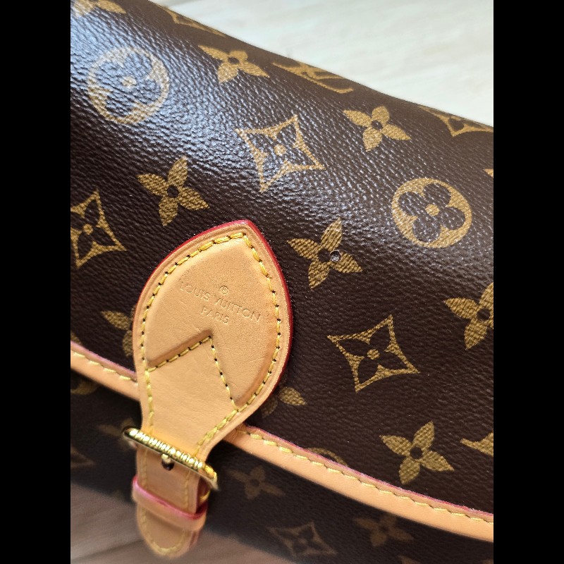 LV Diane M45985 法棍包 郵差包-1