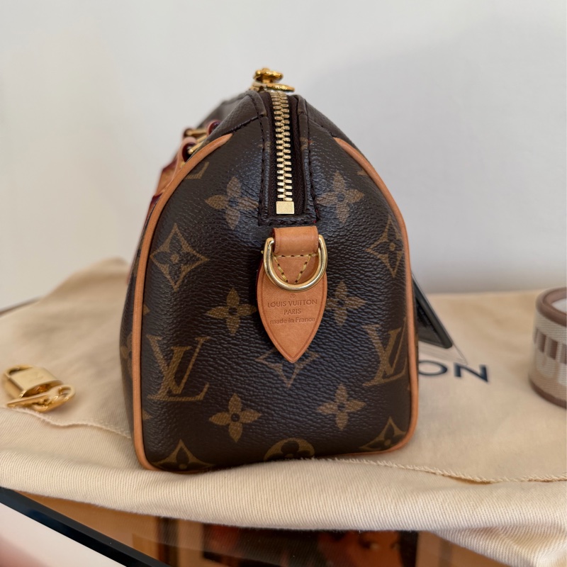 #成色漂亮#全網最便宜 Louis Vuitton Speedy 20 芯片款-11