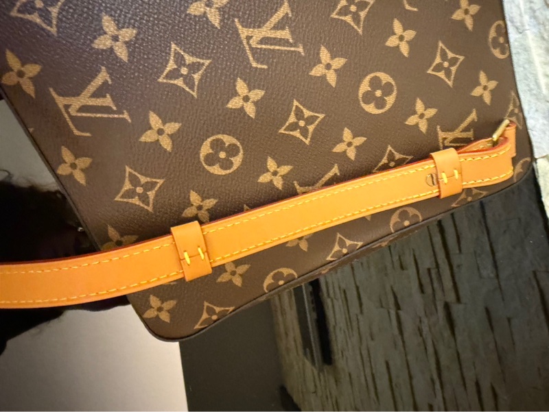 Lv M44754絕版限量老花soft trunk郵差包-19