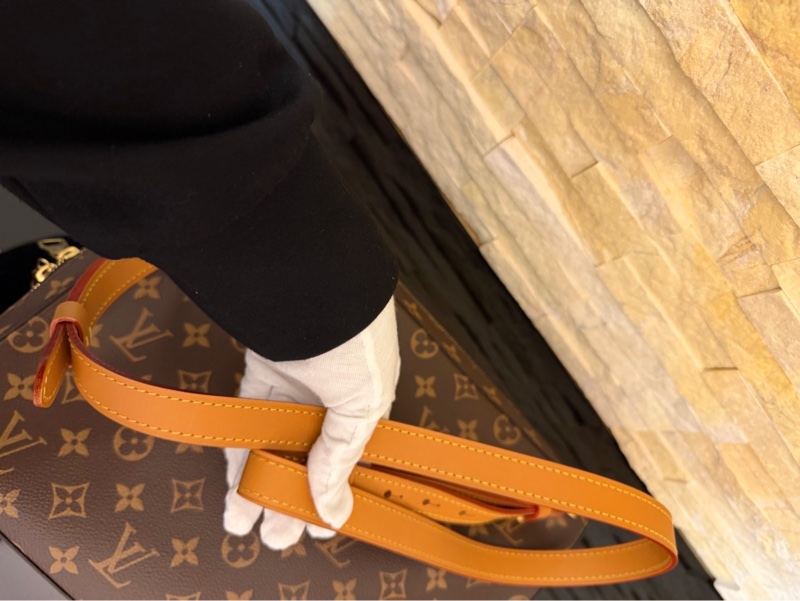 Lv M44754絕版限量老花soft trunk郵差包-21