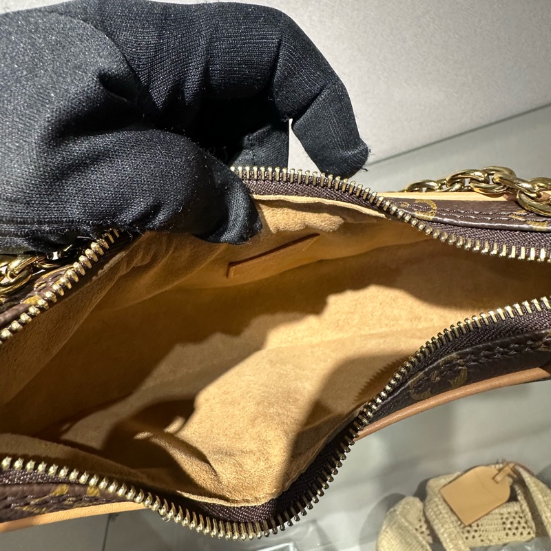 LOUIS VUITTON Loop 经典老花 月亮包豌豆包腋下包手提单肩包-5