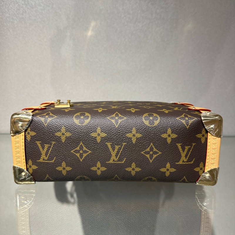 LOUIS VUITTON SIDE TRUNK 经典老花 软盒子单肩斜挎手提包-5