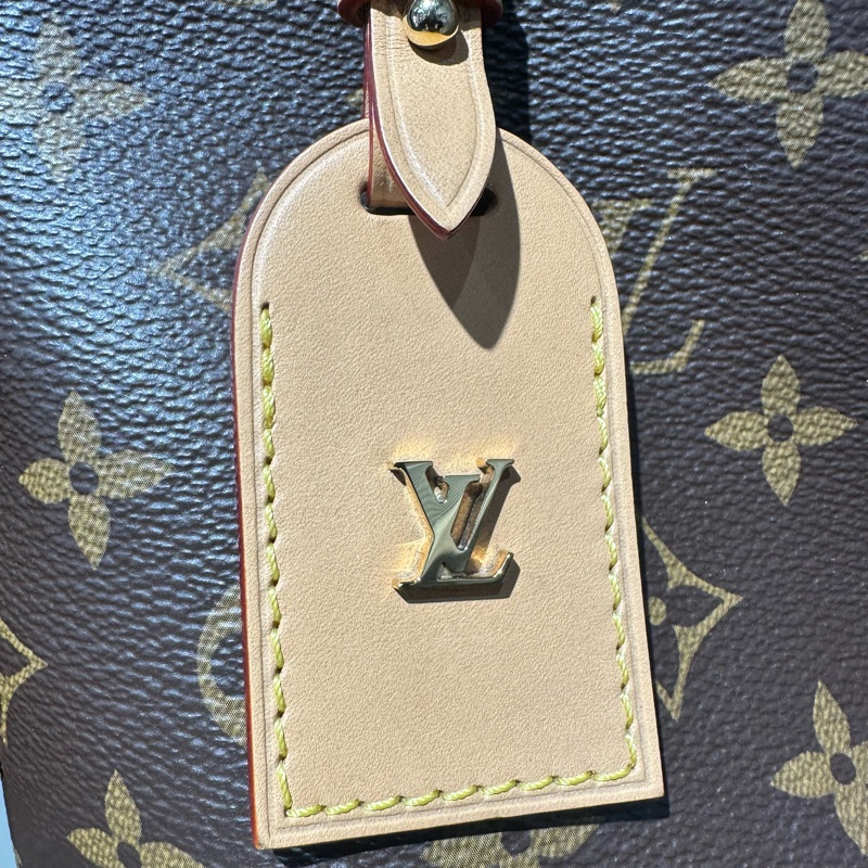 LOUIS VUITTON Carryall PM 经典老花满印购物袋 子母包手提单肩包托特包-5