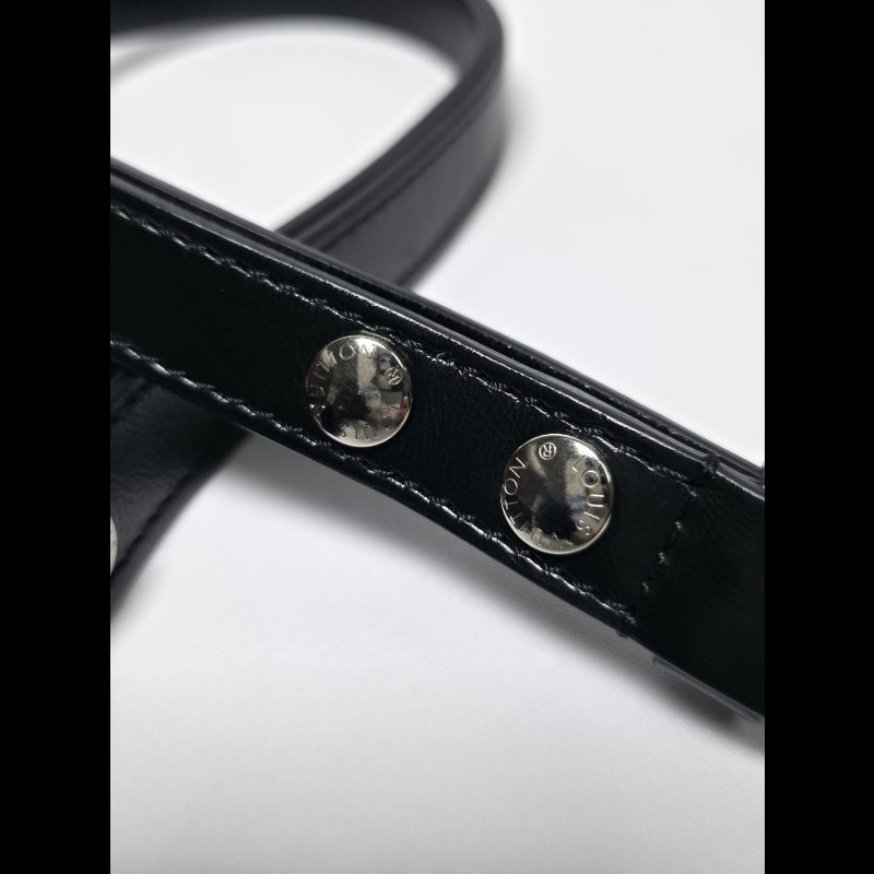 LV - Dauphine MM晶片-29