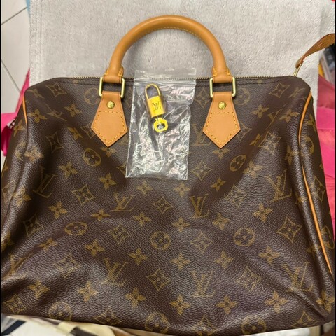 LOUISE VUITTON傳統老花 Speedy30 波士頓包手提包