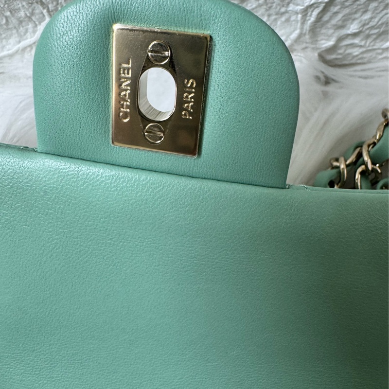 史上最甜的美包～香奈儿ChaneI 20羊～-21