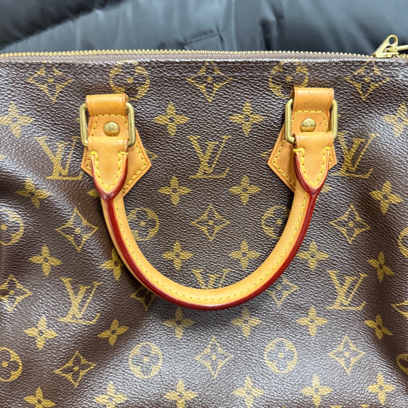 LOUIS VUITTON Speedy25-3