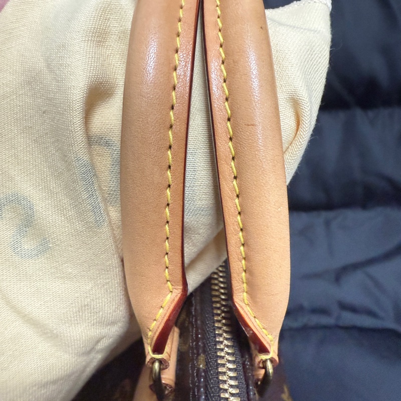 LOUIS VUITTON Speedy25-4