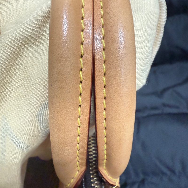 LOUIS VUITTON Speedy25-5