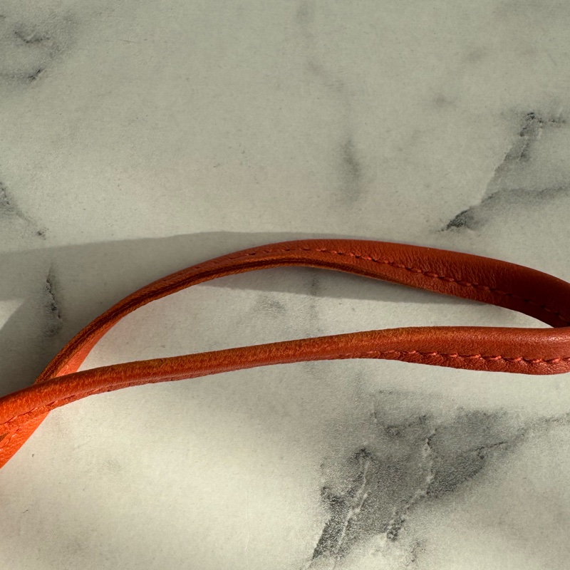 Hermes藍/橘大馬🐎 超特別少見-12