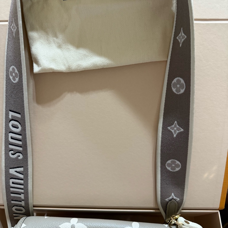 路易威登LV~M46583Daine斑鳩灰~法棍包-1