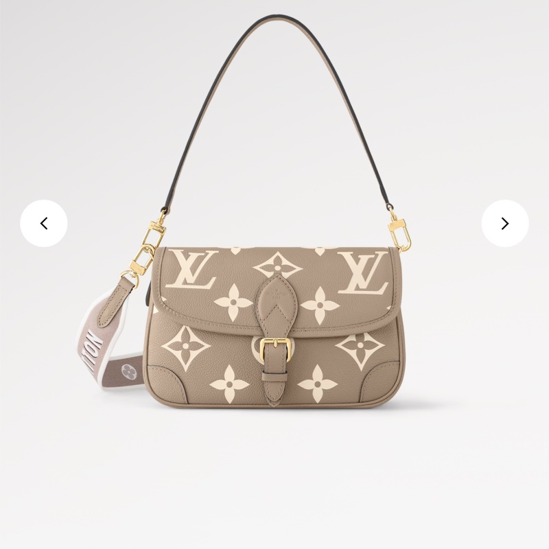 路易威登LV~M46583Daine斑鳩灰~法棍包-10