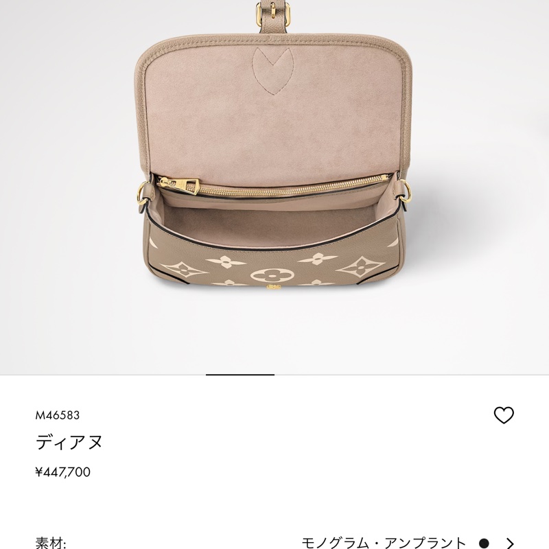 路易威登LV~M46583Daine斑鳩灰~法棍包-12