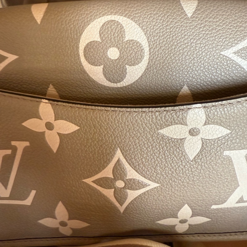 路易威登LV~M46583Daine斑鳩灰~法棍包-38