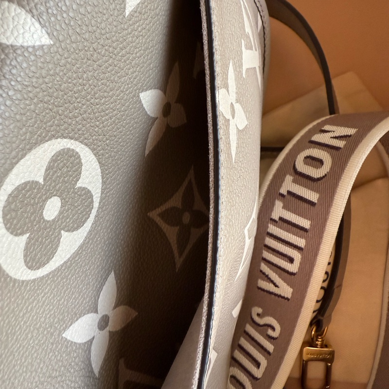 路易威登LV~M46583Daine斑鳩灰~法棍包-39