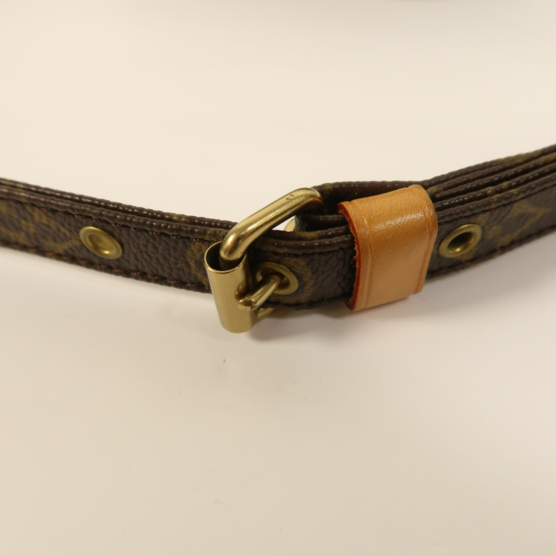 LOUIS VUITTON Monogram Amazon金扣肩背袋-15
