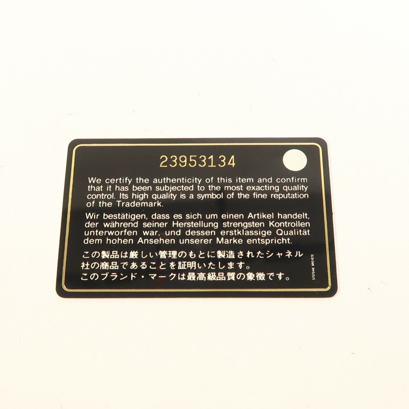 CHANEL 牛皮皮革WOC Wallet On Chain鏈帶肩背袋-7