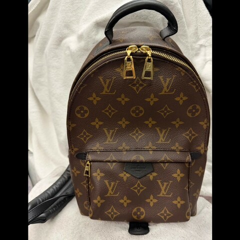 LOUIS VUITTON PalmSprings小書包小號老花肩背包